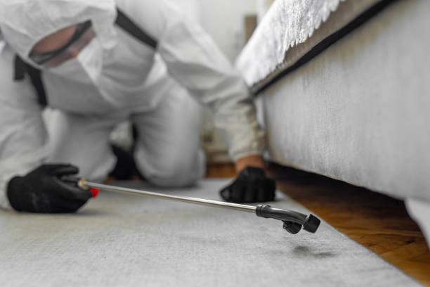 Professional Termite Control technician working in Stevens Point, WI