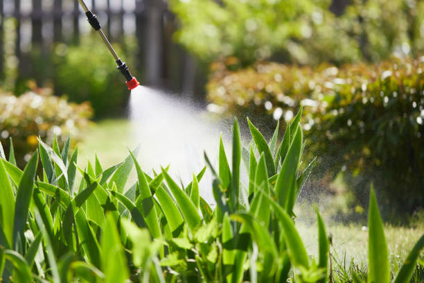 24/7 Emergency Termite Control experts in Stevens Point, WI