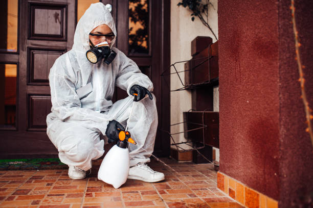 Reliable Termite Control contractor in Stevens Point, WI by Nex Pest Control