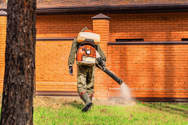 Top rated local Termite Control specialists in Stevens Point, WI